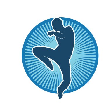 Doğu dövüş sanatı pozu veren bir adamın silueti. Dövüş sanatlarında bir erkeğin silueti..