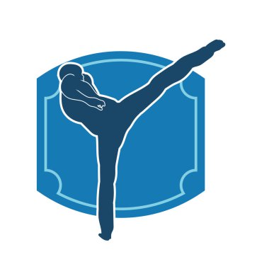 Dövüş sanatları pozu veren bir erkeğin silueti. Dövüş sanatları ustasının silueti tekme atma pozu veriyor..