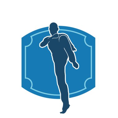 Doğu dövüş sanatı pozu veren bir adamın silueti. Dövüş sanatlarında bir erkeğin silueti..