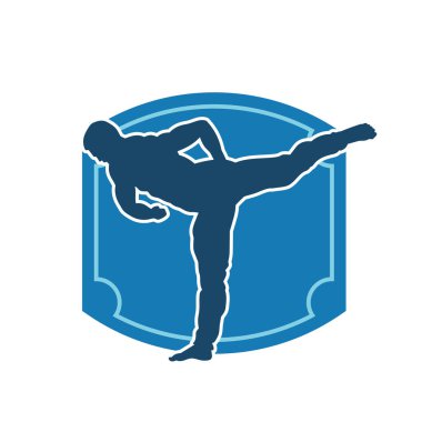 Dövüş sanatları pozu veren bir erkeğin silueti. Dövüş sanatları ustasının silueti tekme atma pozu veriyor..