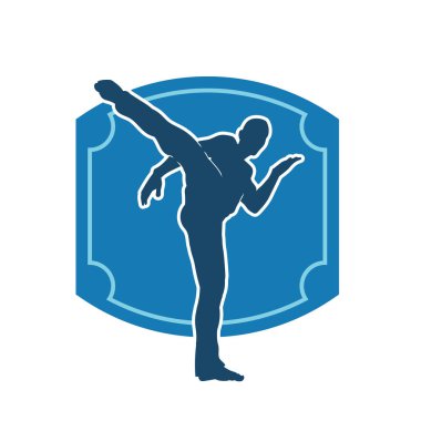 Dövüş sanatları pozu veren bir erkeğin silueti. Dövüş sanatları ustasının silueti tekme atma pozu veriyor..