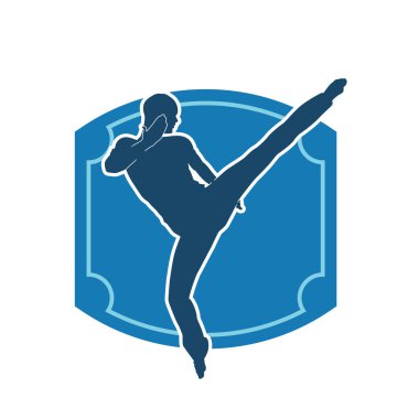 Dövüş sanatları pozu veren bir erkeğin silueti. Dövüş sanatları ustasının silueti tekme atma pozu veriyor..