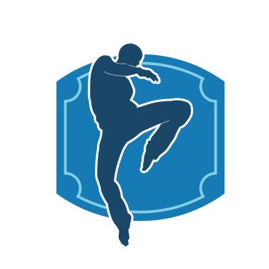 Doğu dövüş sanatı pozu veren bir adamın silueti. Dövüş sanatlarında bir erkeğin silueti..