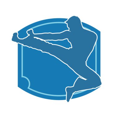 Dövüş sanatları pozu veren bir erkeğin silueti. Dövüş sanatları ustasının silueti tekme atma pozu veriyor..