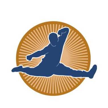 Doğu dövüş sanatı pozu veren bir adamın silueti. Dövüş sanatlarında bir erkeğin silueti..