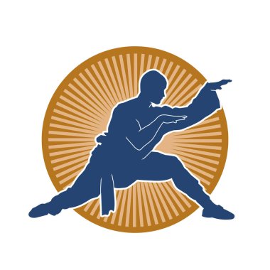 Doğu dövüş sanatı pozu veren bir adamın silueti. Dövüş sanatlarında bir erkeğin silueti..