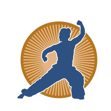 Dövüş sanatlarında çalışan bir kadının silueti. Barehand hareketinin silueti. Dövüş sanatları pratisyeni..