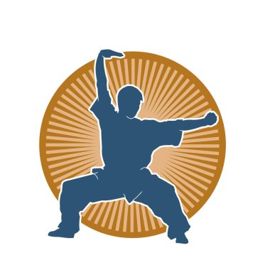 Doğu dövüş sanatı pozu veren bir adamın silueti. Dövüş sanatlarında bir erkeğin silueti..