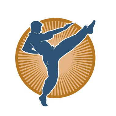 Dövüş sanatları pozu veren bir erkeğin silueti. Dövüş sanatları ustasının silueti tekme atma pozu veriyor..