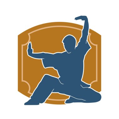 Doğu dövüş sanatı pozu veren bir adamın silueti. Dövüş sanatlarında bir erkeğin silueti..