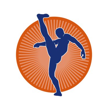 Dövüş sanatları pozu veren bir erkeğin silueti. Dövüş sanatları ustasının silueti tekme atma pozu veriyor..