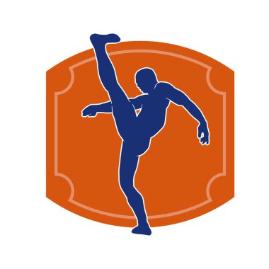 Dövüş sanatları pozu veren bir erkeğin silueti. Dövüş sanatları ustasının silueti tekme atma pozu veriyor..