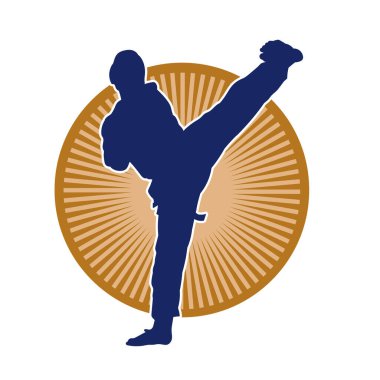 Erkek tekvando ustasının silueti iş başında.