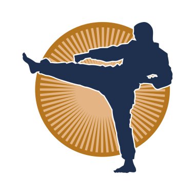 Dövüş sanatları pozu veren bir erkeğin silueti. Dövüş sanatları ustasının silueti tekme atma pozu veriyor..