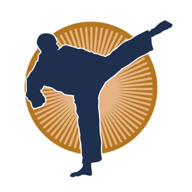 Dövüş sanatları pozu veren bir erkeğin silueti. Dövüş sanatları ustasının silueti tekme atma pozu veriyor..