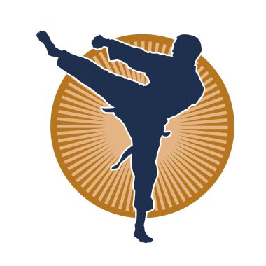 Dövüş sanatları pozu veren bir erkeğin silueti. Dövüş sanatları ustasının silueti tekme atma pozu veriyor..