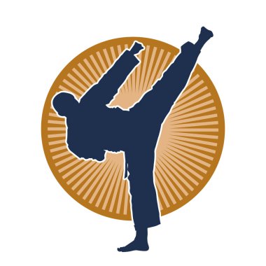 Dövüş sanatları pozu veren bir erkeğin silueti. Dövüş sanatları ustasının silueti tekme atma pozu veriyor..