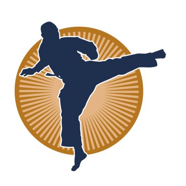 Dövüş sanatları pozu veren bir erkeğin silueti. Dövüş sanatları ustasının silueti tekme atma pozu veriyor..