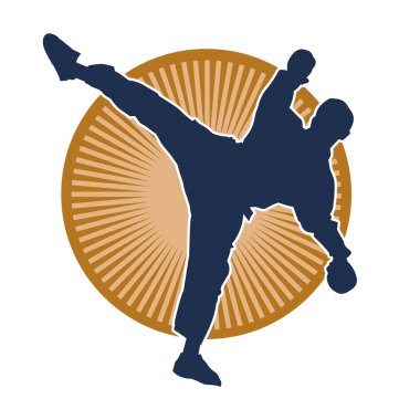 Dövüş sanatları pozu veren bir erkeğin silueti. Dövüş sanatları ustasının silueti tekme atma pozu veriyor..