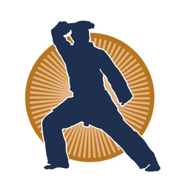 Doğu dövüş sanatı pozu veren bir adamın silueti. Dövüş sanatlarında bir erkeğin silueti..