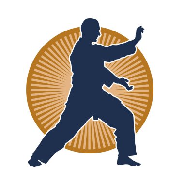 Dövüş sanatları pozu veren bir erkeğin silueti. Dövüş sanatları ustasının silueti tekme atma pozu veriyor..