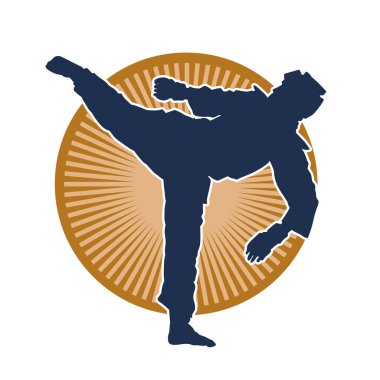 Dövüş sanatları pozu veren bir erkeğin silueti. Dövüş sanatları ustasının silueti tekme atma pozu veriyor..