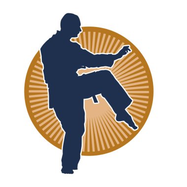 Doğu dövüş sanatı pozu veren bir adamın silueti. Dövüş sanatlarında bir erkeğin silueti..