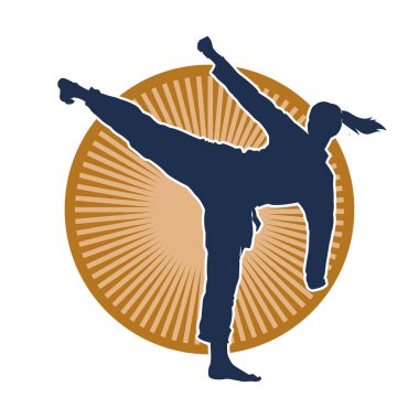 Dövüş sanatları pozu veren bir erkeğin silueti. Dövüş sanatları ustasının silueti tekme atma pozu veriyor..