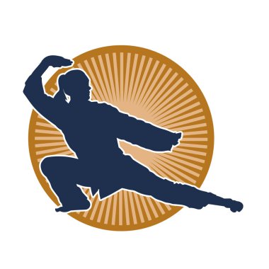 Dövüş sanatları yapan zayıf bir kadının silueti. Dövüş sanatlarında çalışan bir kadının silueti..