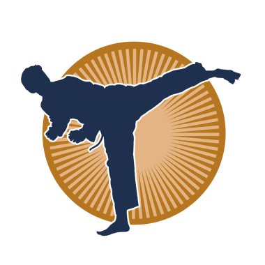 Doğu dövüş sanatı pozu veren bir adamın silueti. Dövüş sanatlarında bir erkeğin silueti..