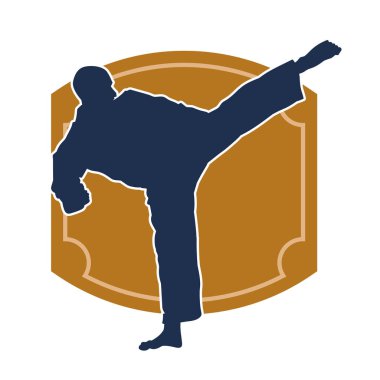 Dövüş sanatları pozu veren bir erkeğin silueti. Dövüş sanatları ustasının silueti tekme atma pozu veriyor..