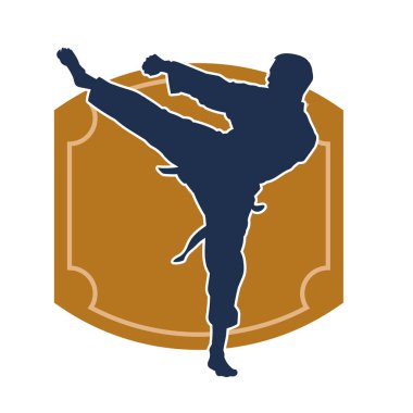 Dövüş sanatları pozu veren bir erkeğin silueti. Dövüş sanatları ustasının silueti tekme atma pozu veriyor..