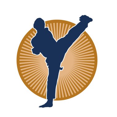 Dövüş sanatları pozu veren bir erkeğin silueti. Dövüş sanatları ustasının silueti tekme atma pozu veriyor..