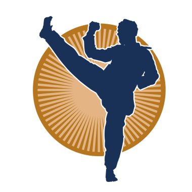 Erkek tekvando ustasının silueti iş başında..