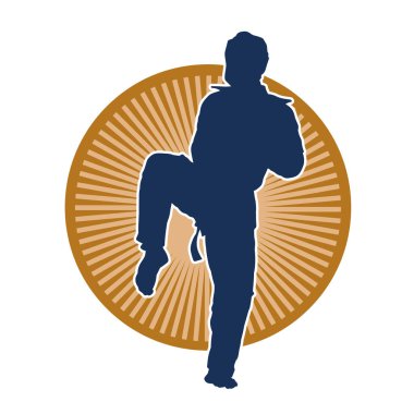 Erkek tekvando ustasının silueti iş başında..