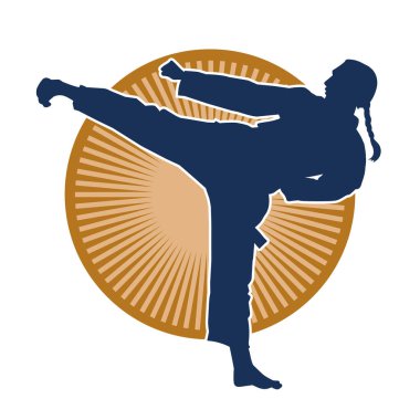 Dövüş sanatları tekmesi pozu veren bir kadının silueti. Dövüş sanatlarındaki bir kadının silueti tekme atma pozu veriyor..