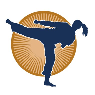 Dövüş sanatları tekmesi pozu veren bir kadının silueti. Dövüş sanatlarındaki bir kadının silueti tekme atma pozu veriyor..