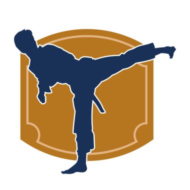 Dövüş sanatları pozu veren bir erkeğin silueti. Dövüş sanatları ustasının silueti tekme atma pozu veriyor..