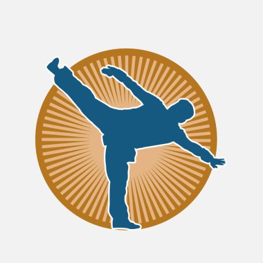 Dövüş sanatları pozu veren bir erkeğin silueti. Dövüş sanatları ustasının silueti tekme atma pozu veriyor..