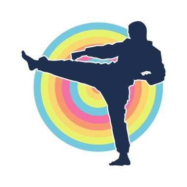 Dövüş sanatları pozu veren bir erkeğin silueti. Dövüş sanatları ustasının silueti tekme atma pozu veriyor..