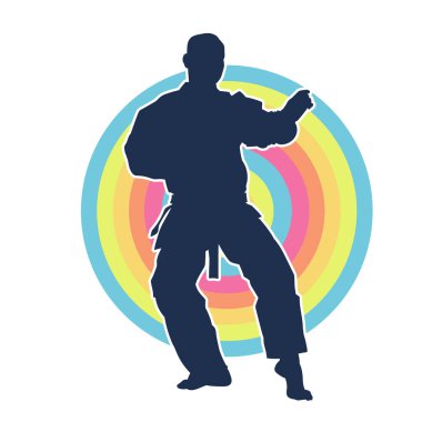 Doğu dövüş sanatı pozu veren bir adamın silueti. Dövüş sanatlarında bir erkeğin silueti..