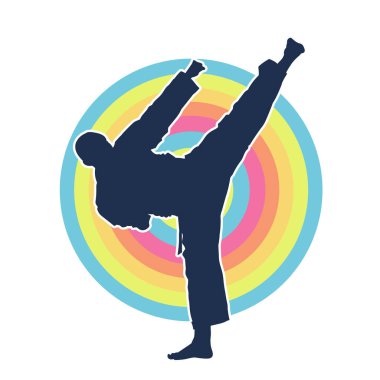 Dövüş sanatları pozu veren bir erkeğin silueti. Dövüş sanatları ustasının silueti tekme atma pozu veriyor..