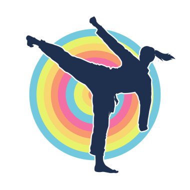 Dövüş sanatları pozu veren bir erkeğin silueti. Dövüş sanatları ustasının silueti tekme atma pozu veriyor..