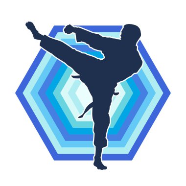 Dövüş sanatları pozu veren bir erkeğin silueti. Dövüş sanatları ustasının silueti tekme atma pozu veriyor..