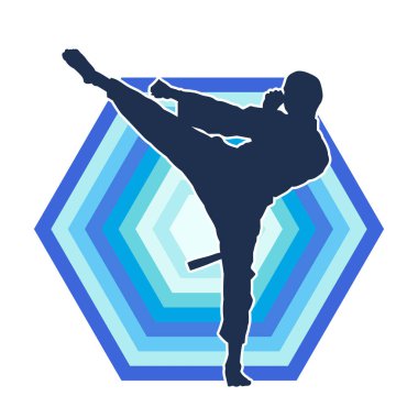 Dövüş sanatları pozu veren bir erkeğin silueti. Dövüş sanatları ustasının silueti tekme atma pozu veriyor..