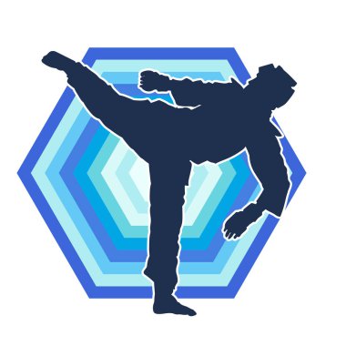 Erkek tekvando ustasının silueti iş başında..