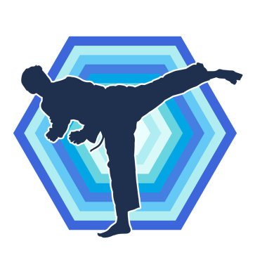 Dövüş sanatları pozu veren bir erkeğin silueti. Dövüş sanatları ustasının silueti tekme atma pozu veriyor..