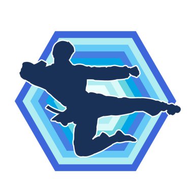 Dövüş sanatları pozu veren bir erkeğin silueti. Dövüş sanatları ustasının silueti tekme atma pozu veriyor..