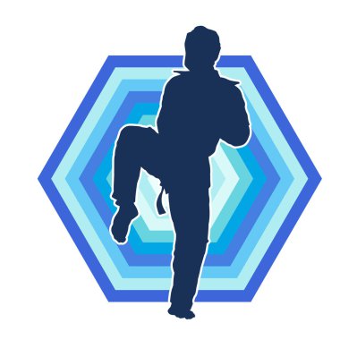 Erkek tekvando ustasının silueti iş başında..