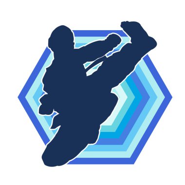 Erkek tekvando ustasının silueti iş başında..